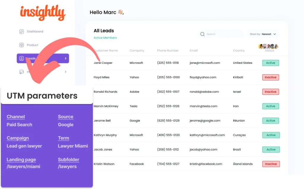 Capture UTM parameters into Insightly