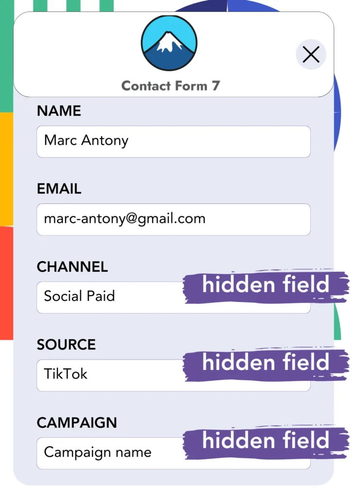 TikTok ads data Contact Form 7