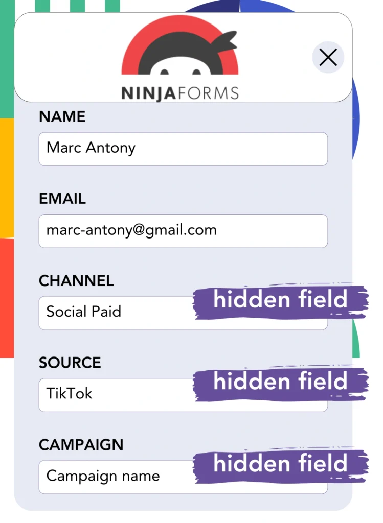 TikTok ads data Ninja Forms