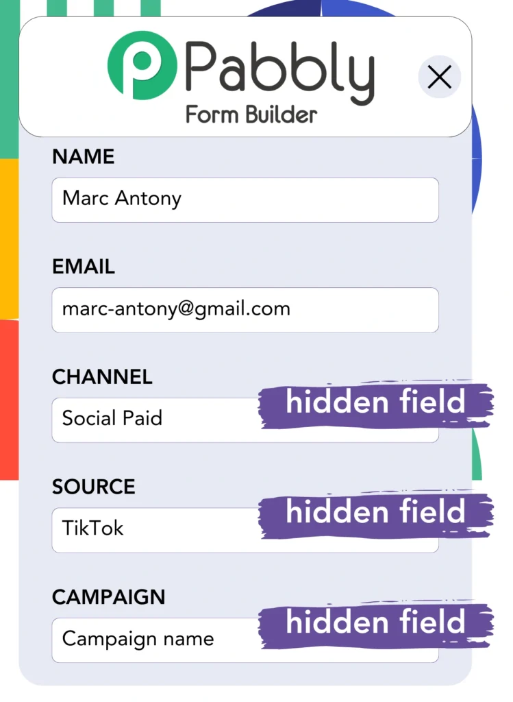 TikTok ads data Pabbly Form Builder