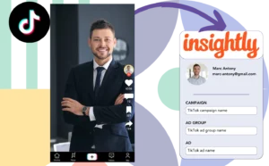 Track Tiktok ads data in Insightly